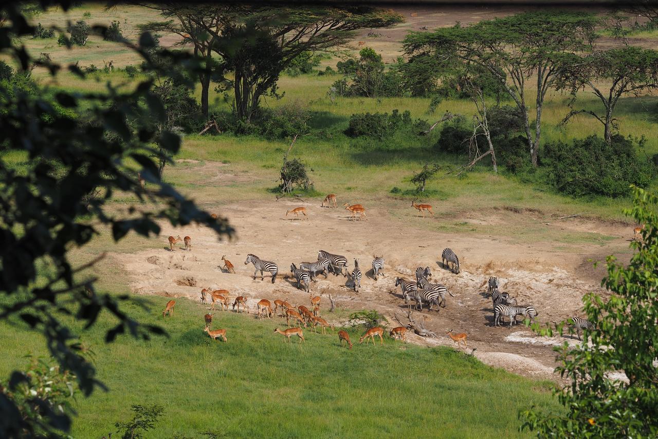 Hotel Saruni Eagle View Naboisho Exteriér fotografie