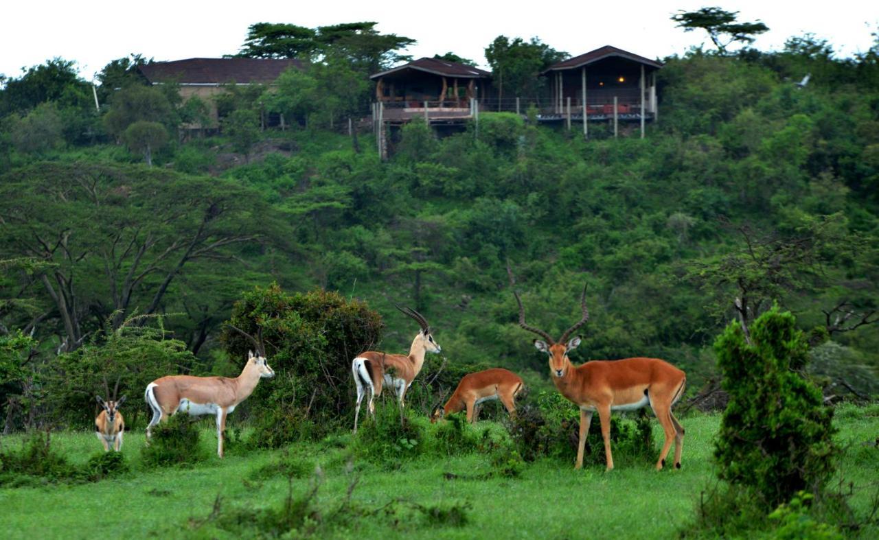 Hotel Saruni Eagle View Naboisho Exteriér fotografie